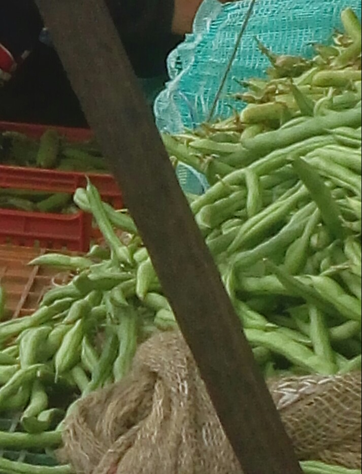 Habichuelas