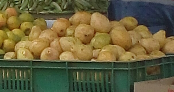 Guayaba