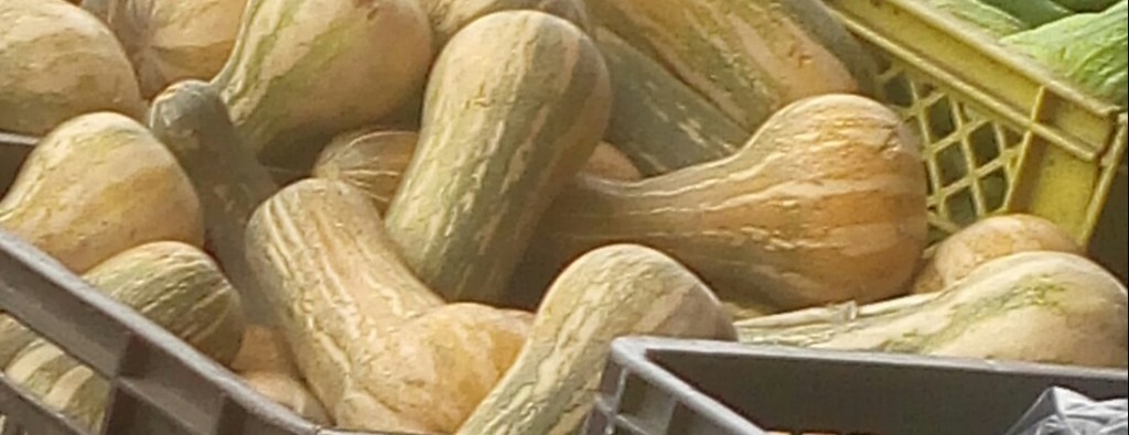 Ahuyama Sapayo