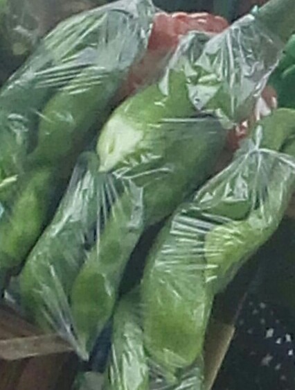Pepino para guiso