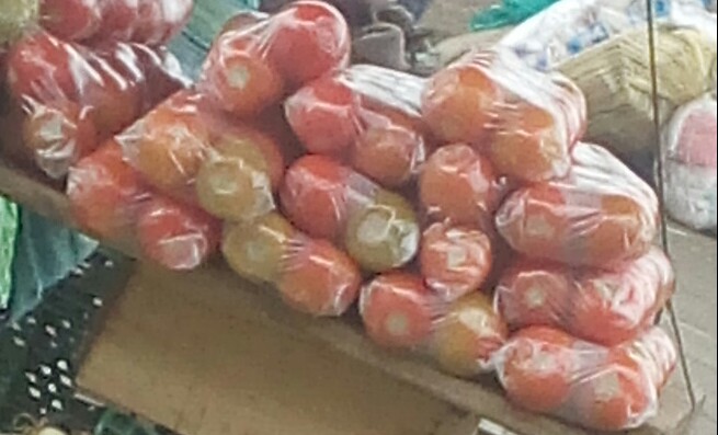 Tomate chonto