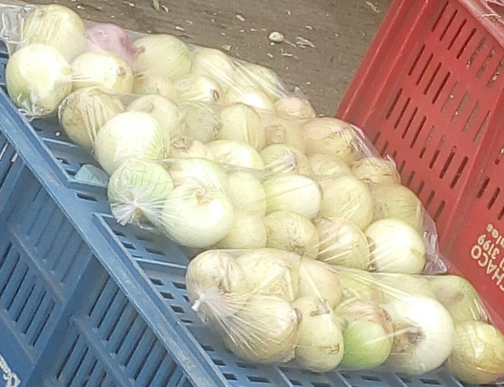 Cebolla cabezona
