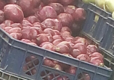 Cebolla cabezona morada