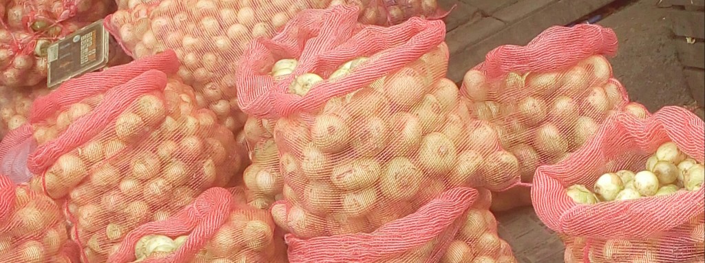Cebolla cabezona