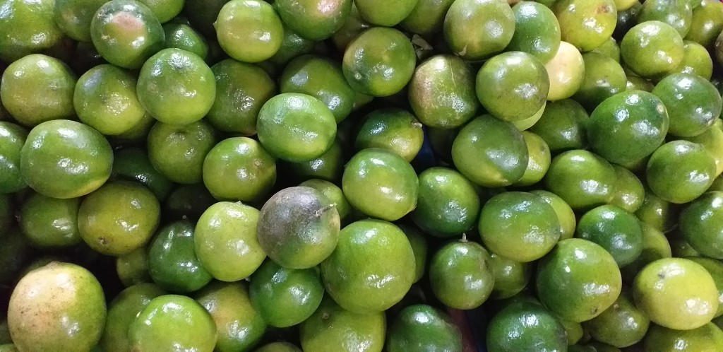 Limon tahiti