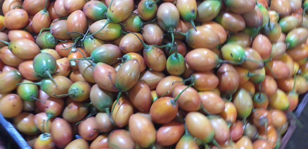 Tomate de arbol