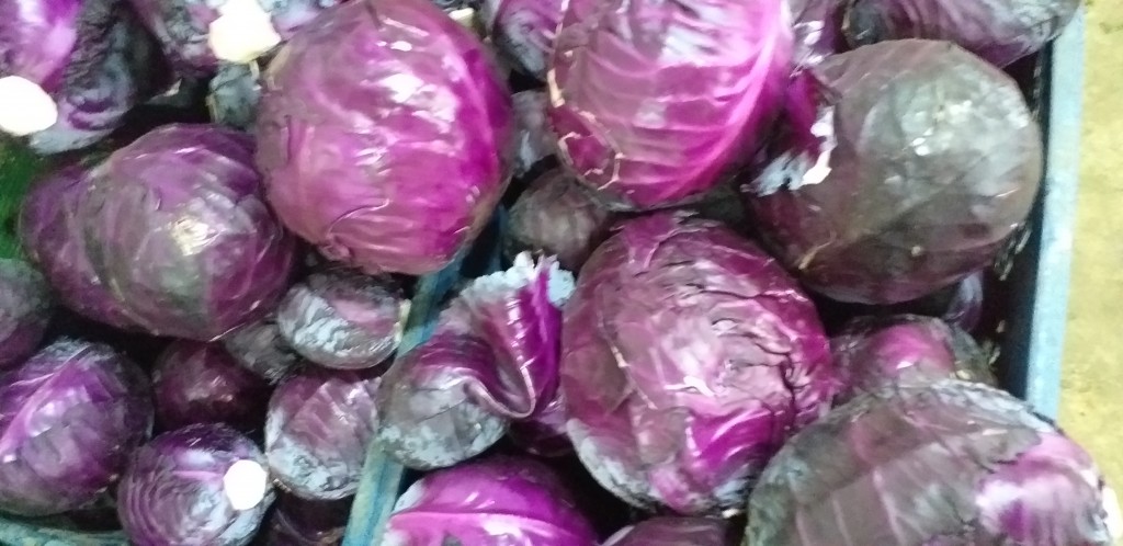 Repollo morado
