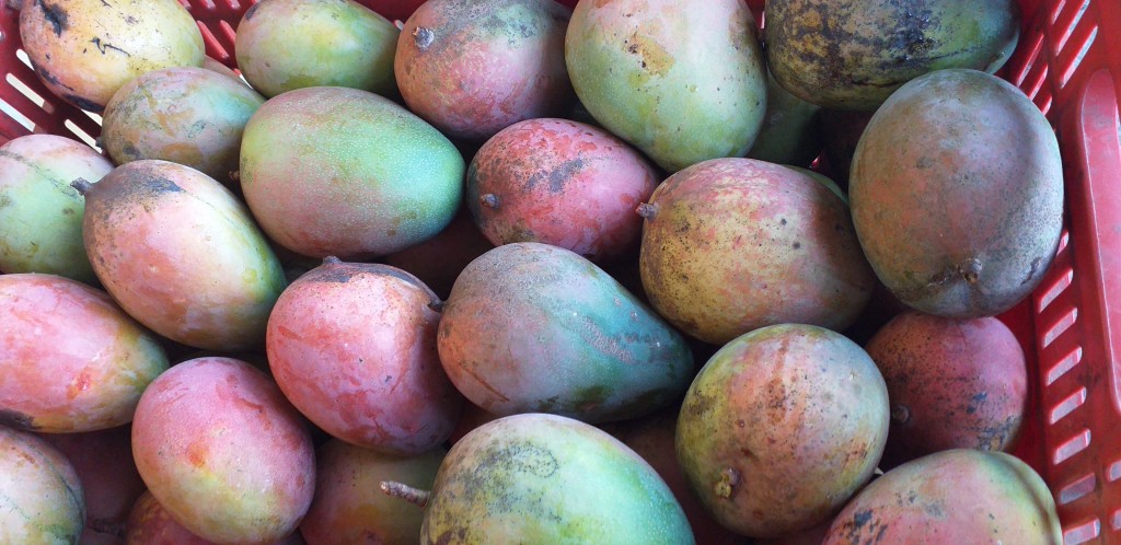 Mango farchi