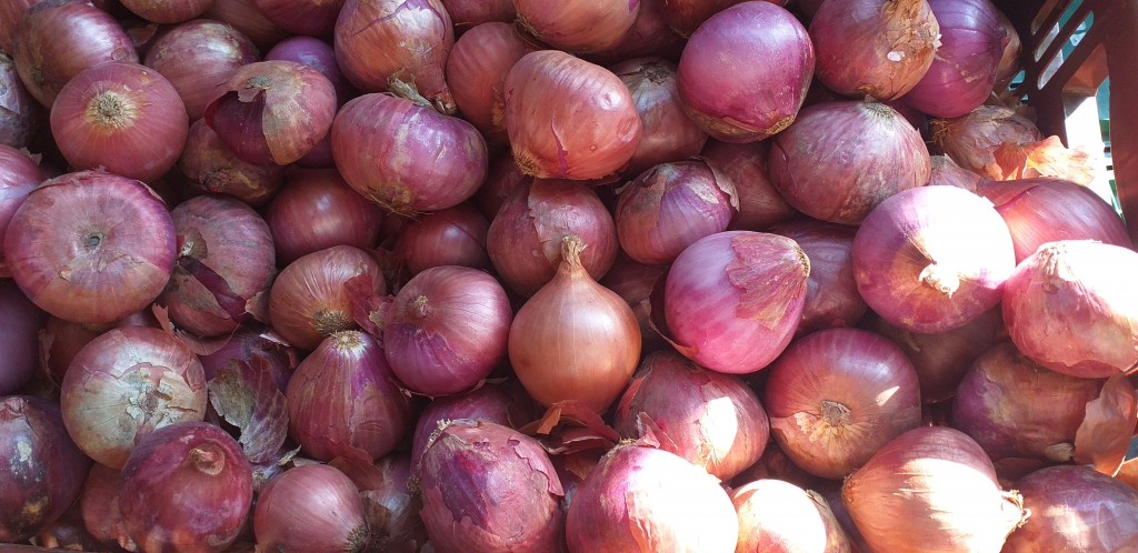 Cebolla roja delgada
