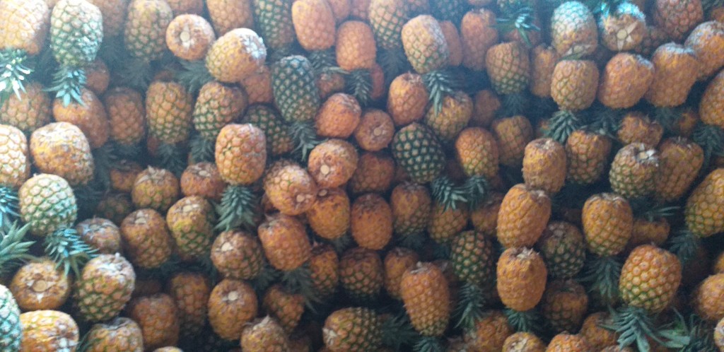 Piña oromiel