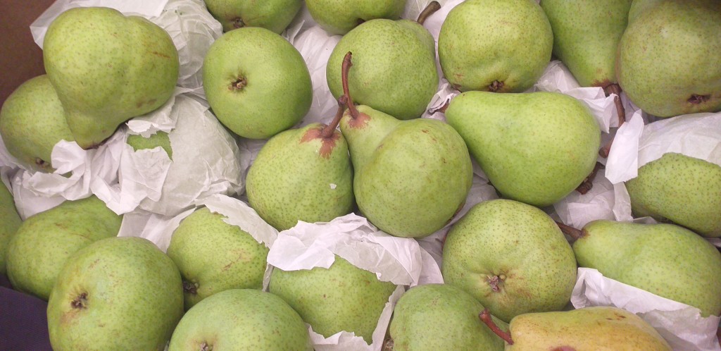 Pera gruesa