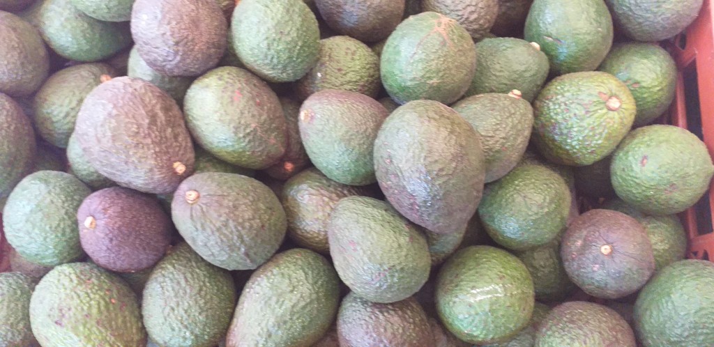 Aguacate hass