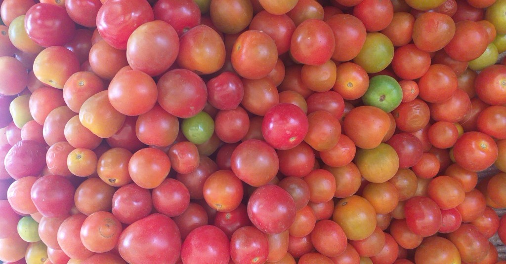 Tomate cherry