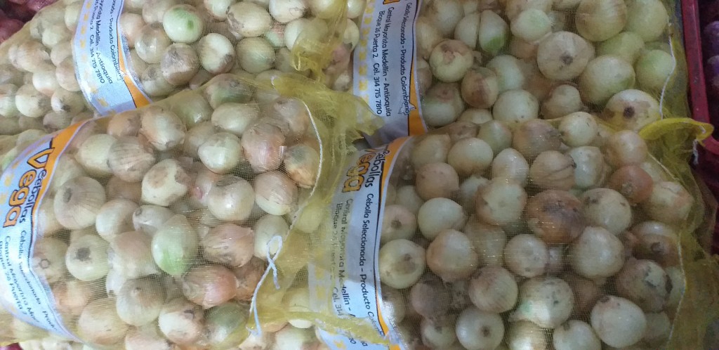 Cebolla blanca selecta/20kg