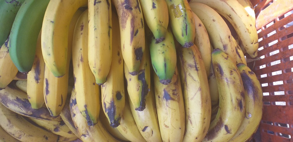 Banano maduro
