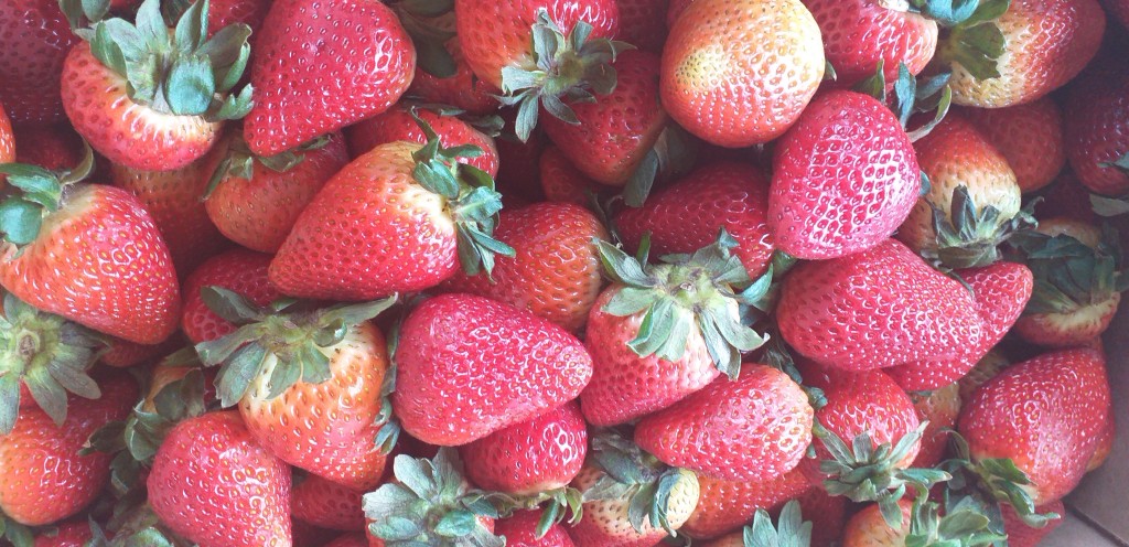 Fresa jumbo