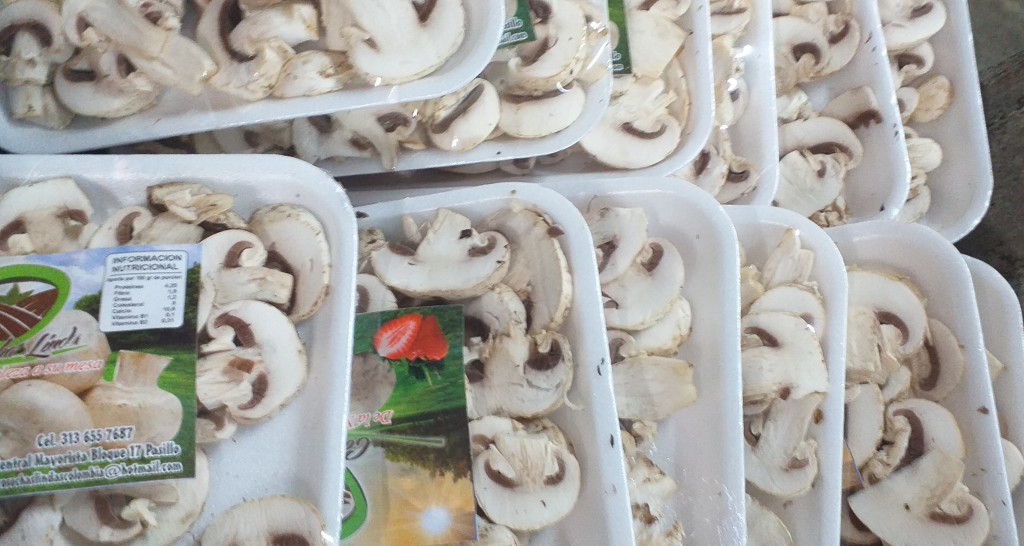 Champiñon /100gm