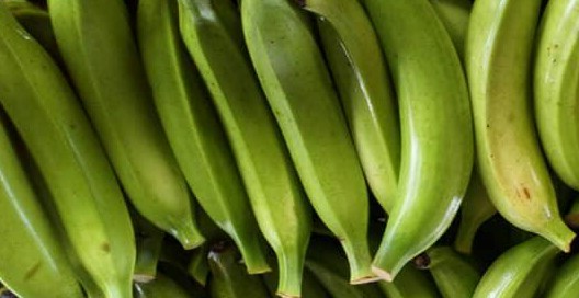 Platano verde