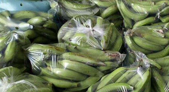 Platano verde