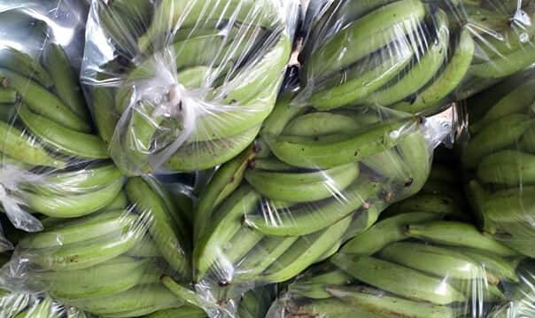 Platano verde