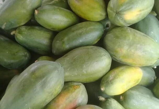 Papaya