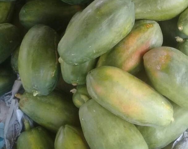 Papaya