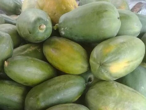 Papaya