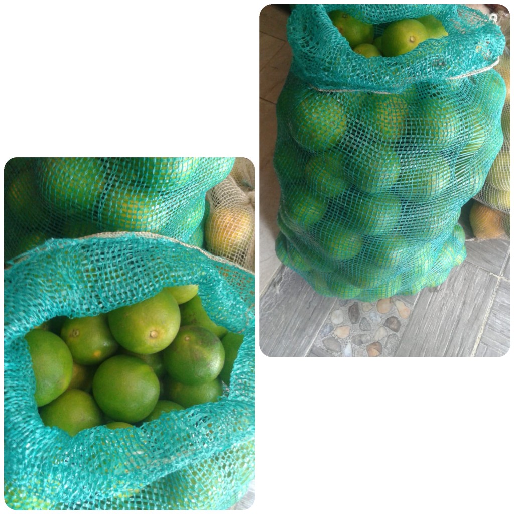 Naranja valencia/24kg