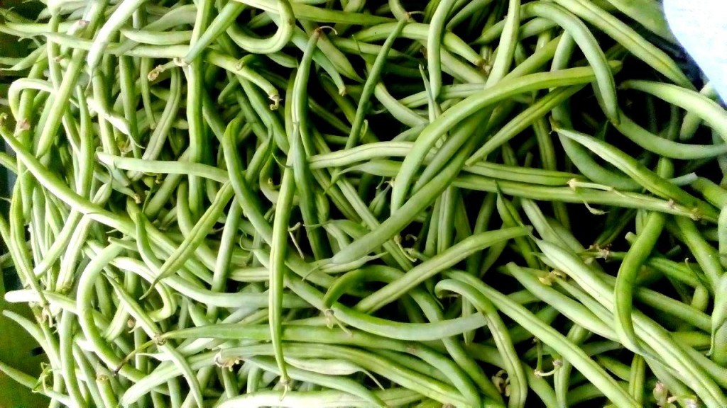 Habichuelas
