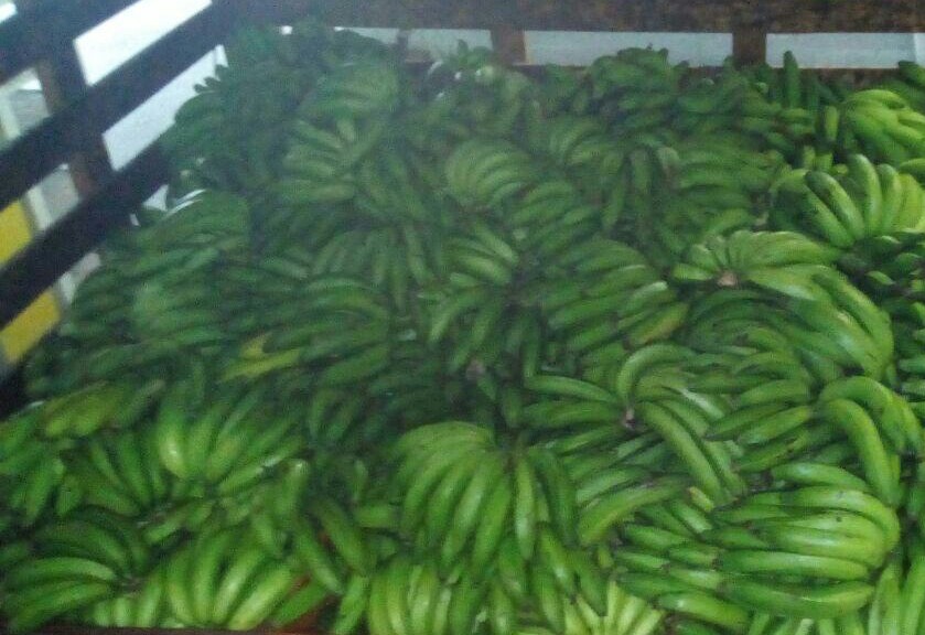 Banano