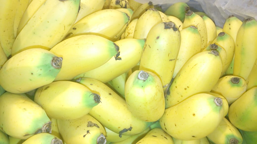 Banano bocadillo