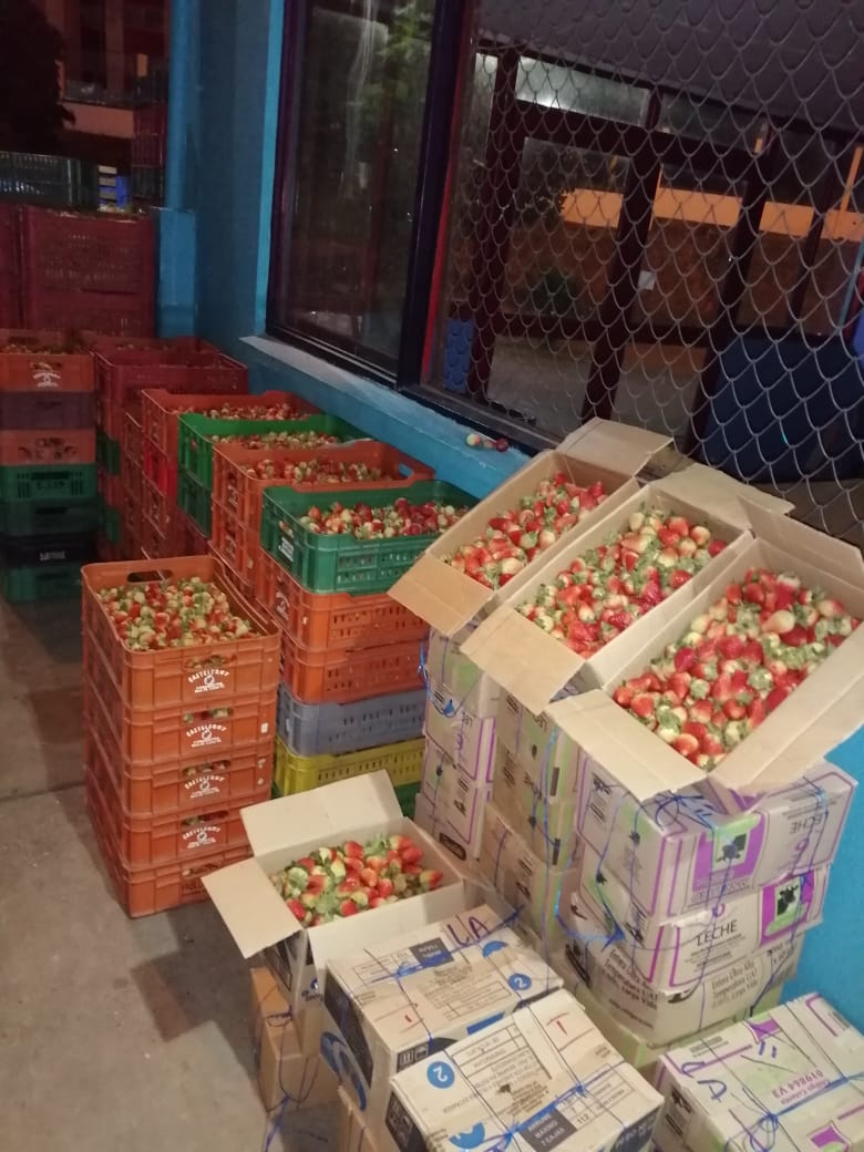 Fresas tipo 2