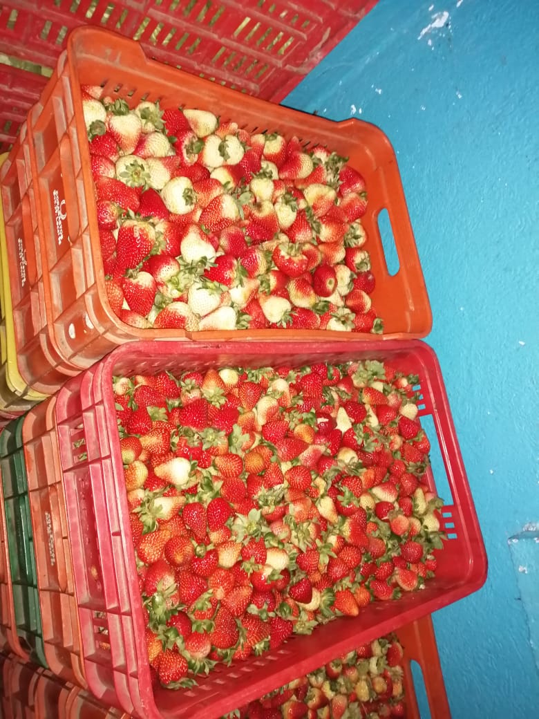 Fresa de segunda