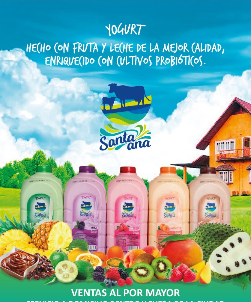 Yogurt garrafa × 2 lt
