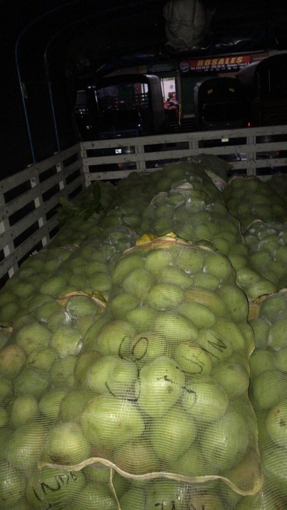 Mango filipino/80kg