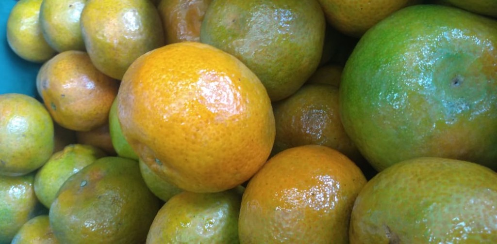 Mandarina clementina de 1ra