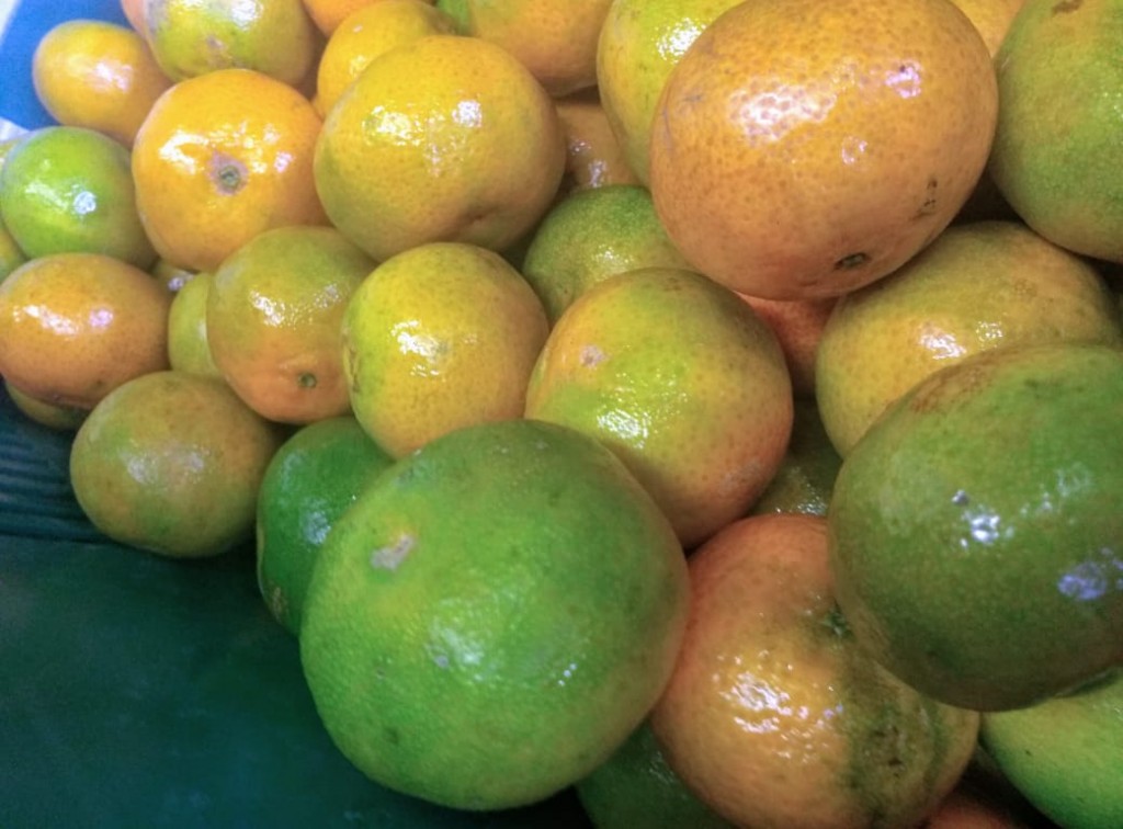 Mandarina clementina de 2da
