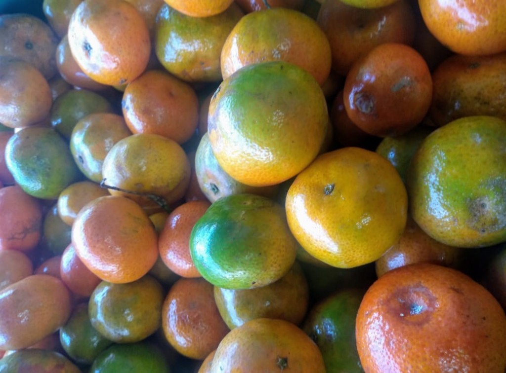 Mandarina clementina de 3ra