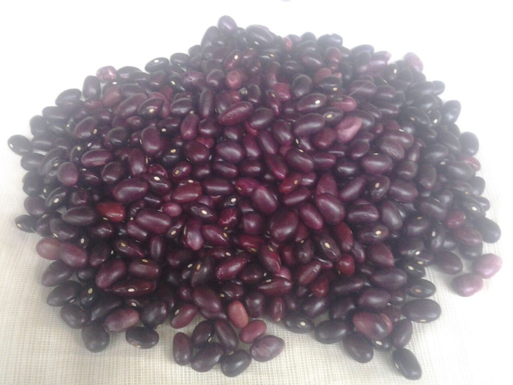 Frijol rojo