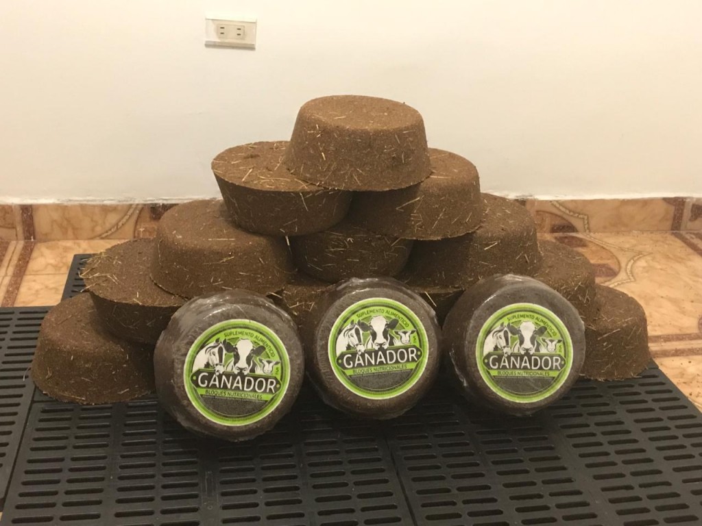 Bloque Multinacional 5kg para Bovinos, equinos, caprinos y ovinos