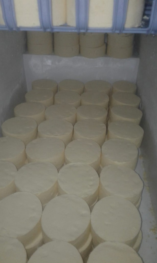 Queso Campesino organico