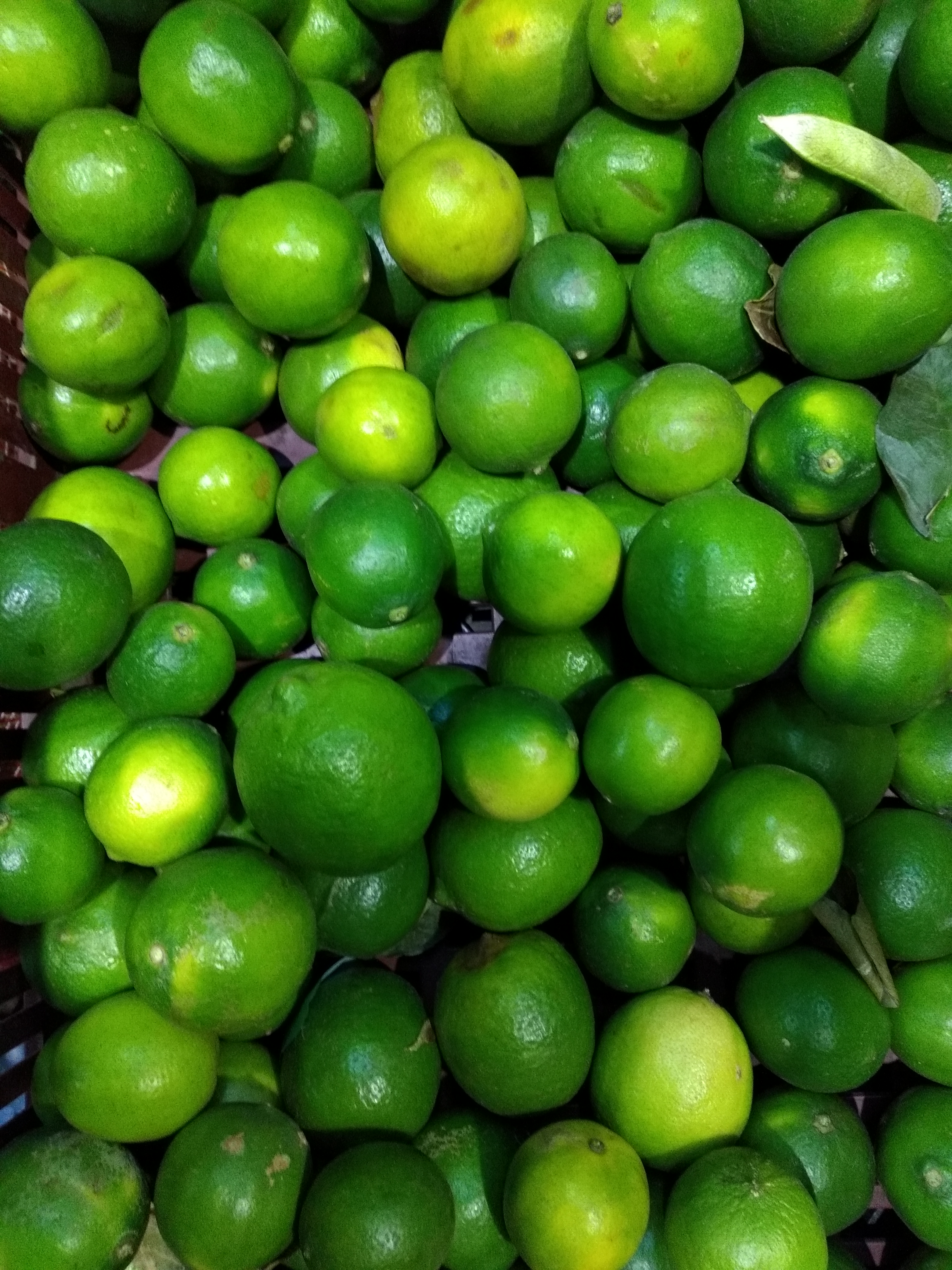 Limón