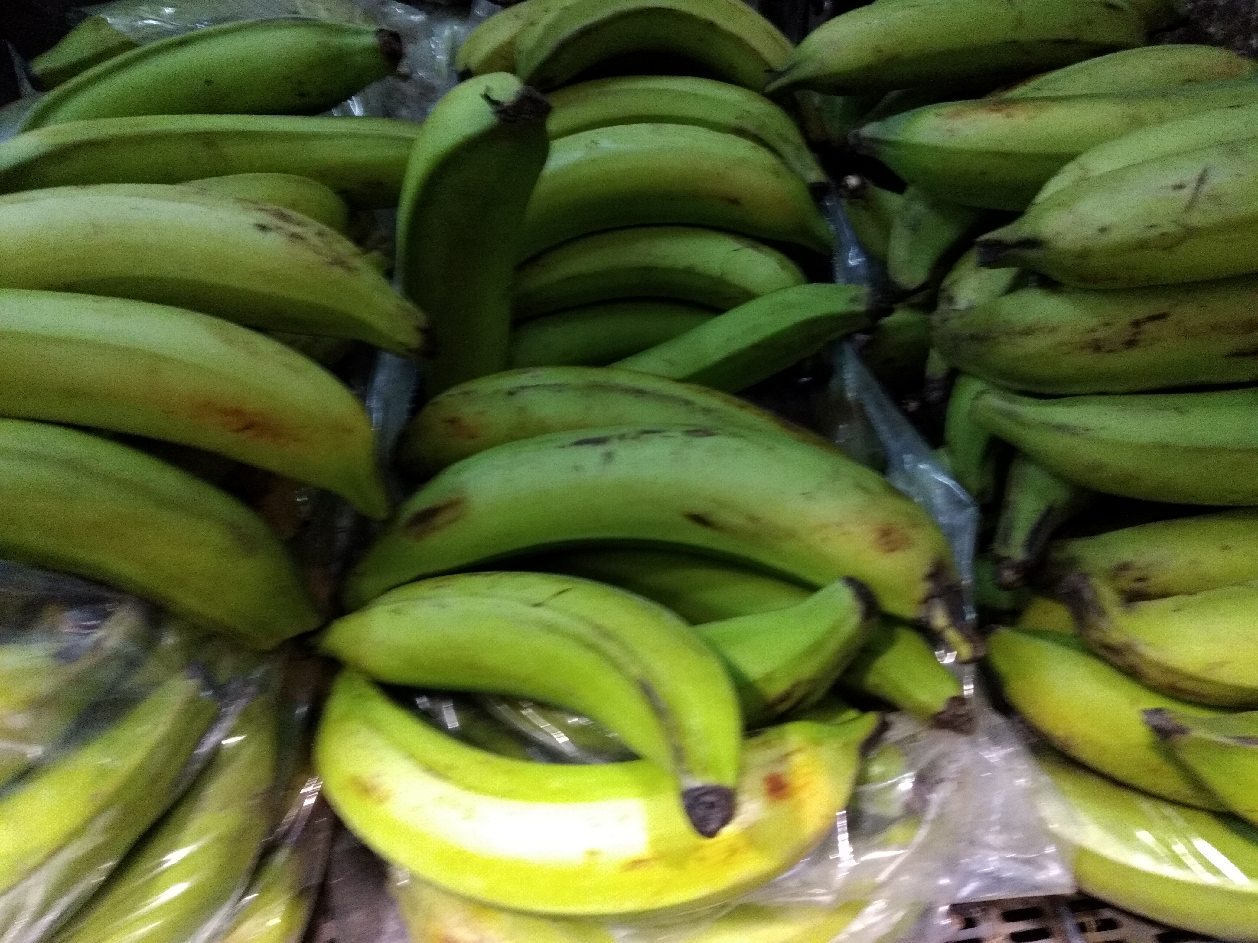 Plátano