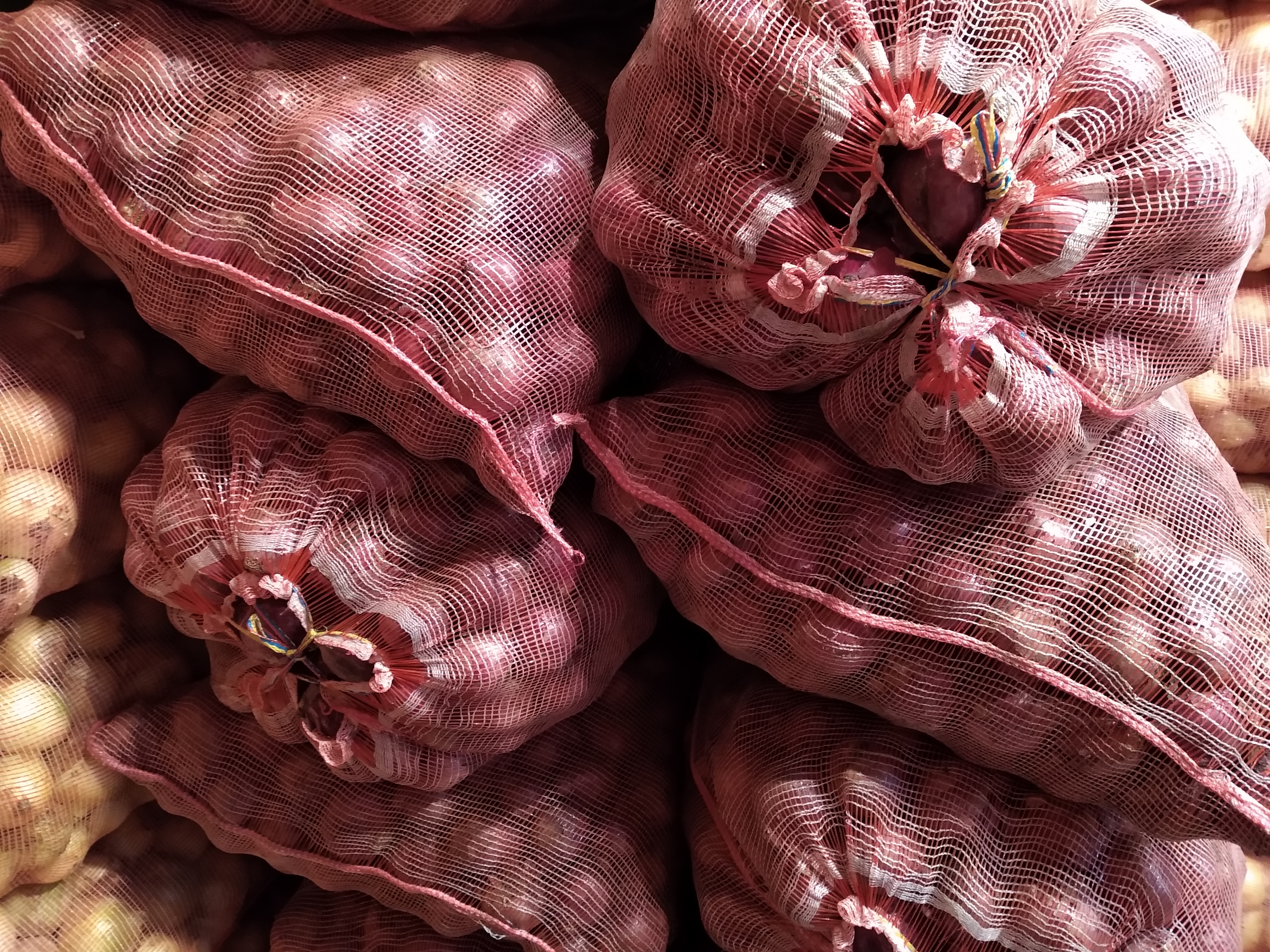 Cebolla cabezona morada × 50 kl