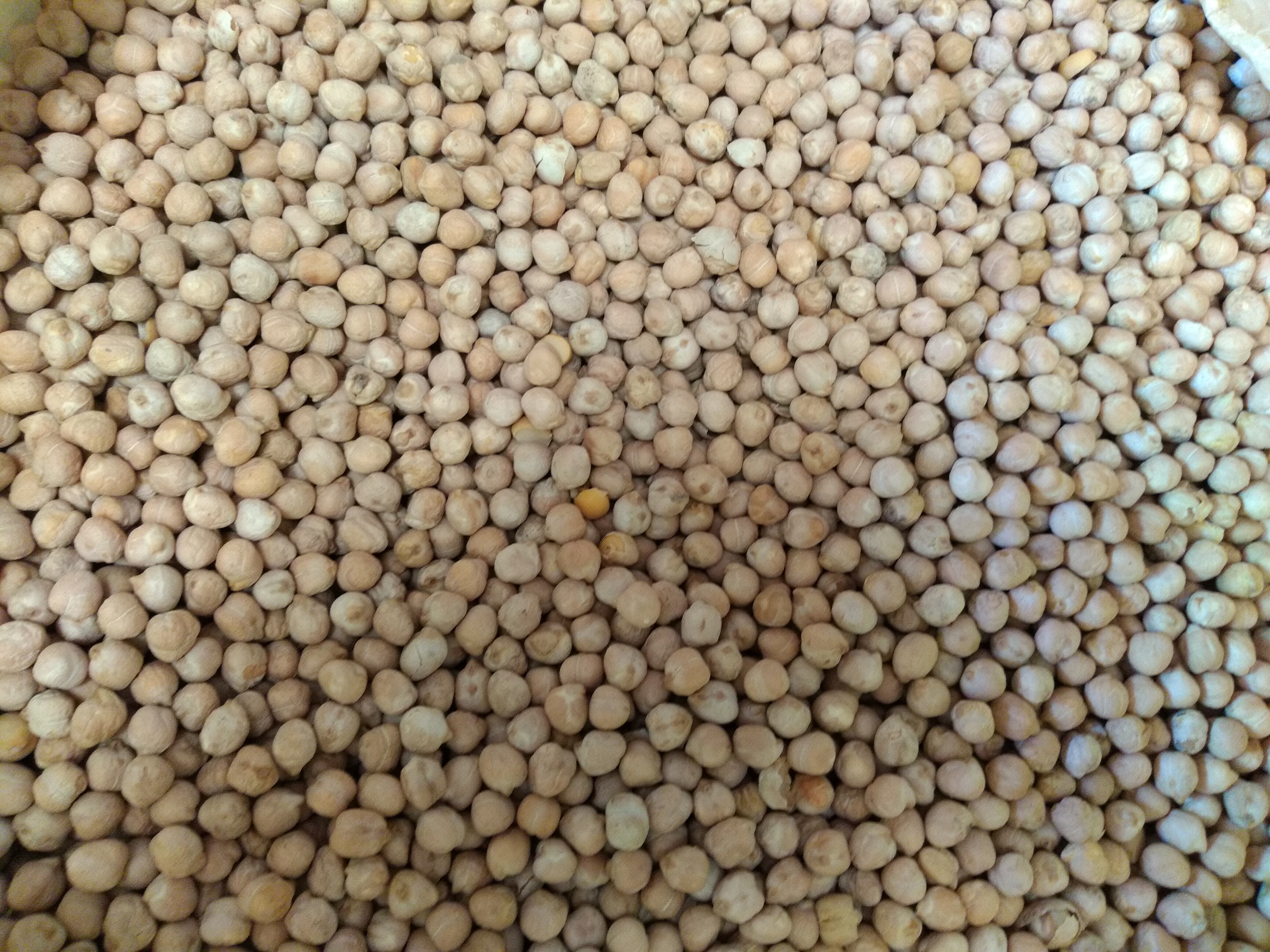 Garbanzos