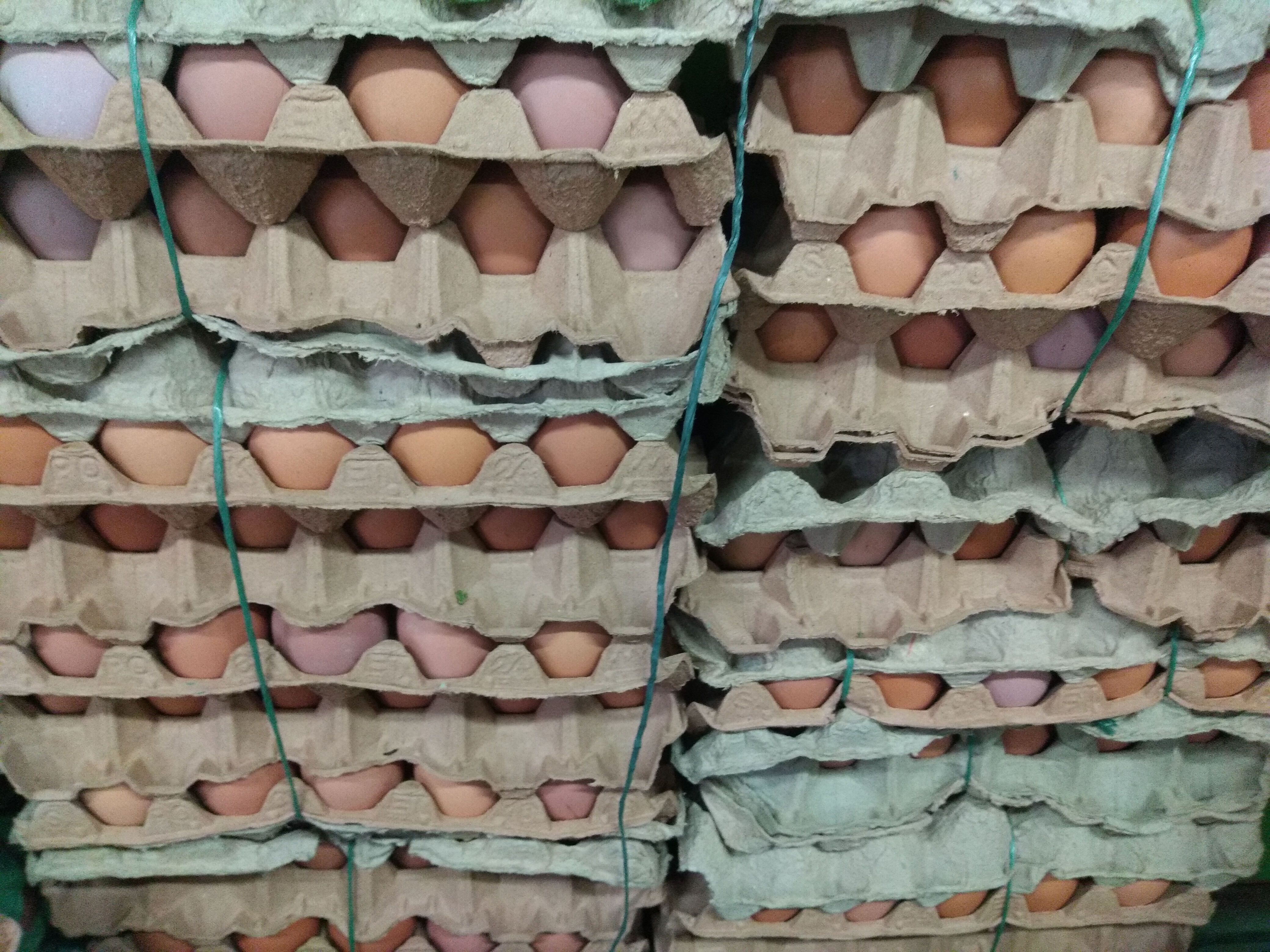 Huevos tipoAA