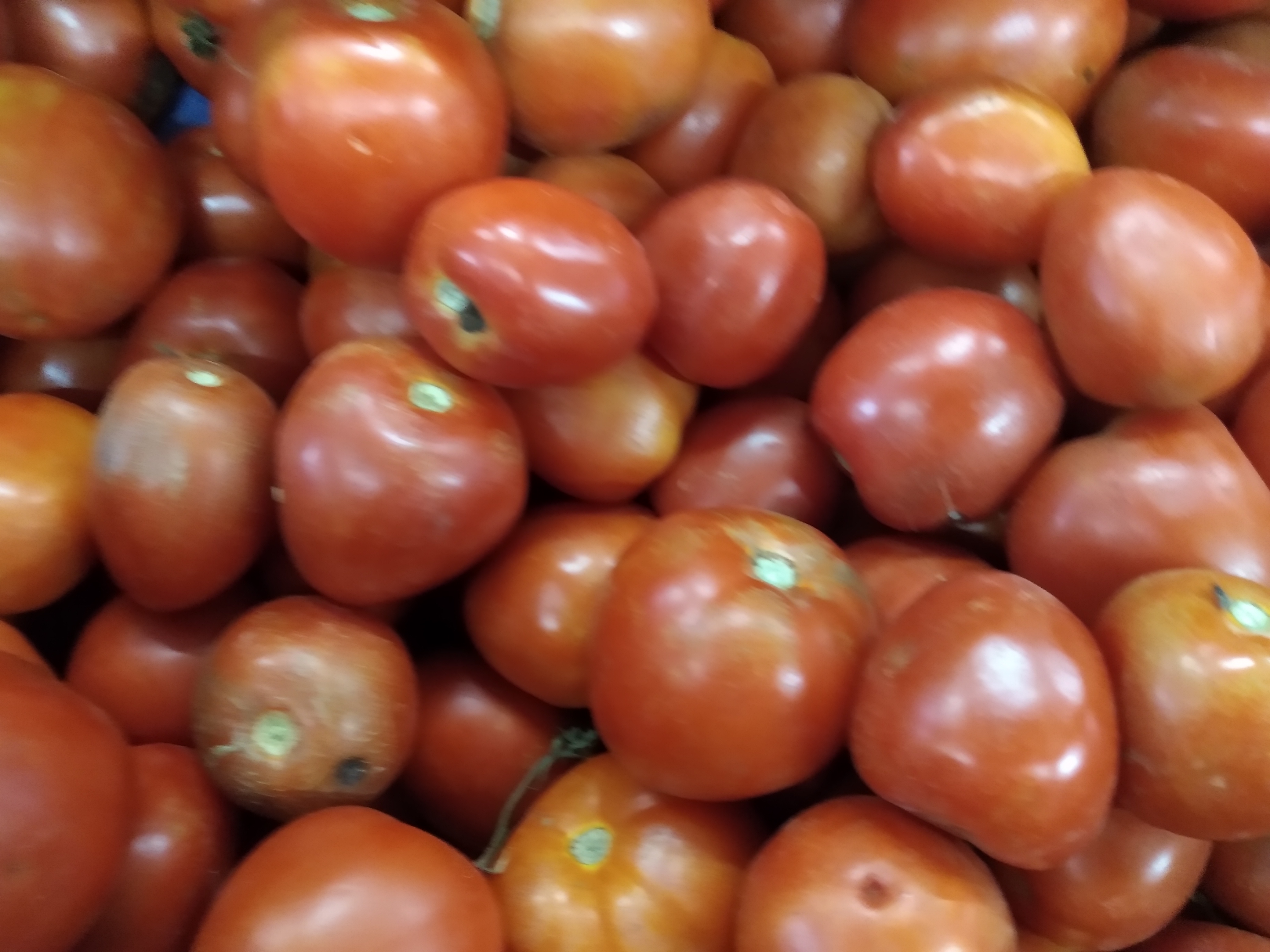 Tomate
