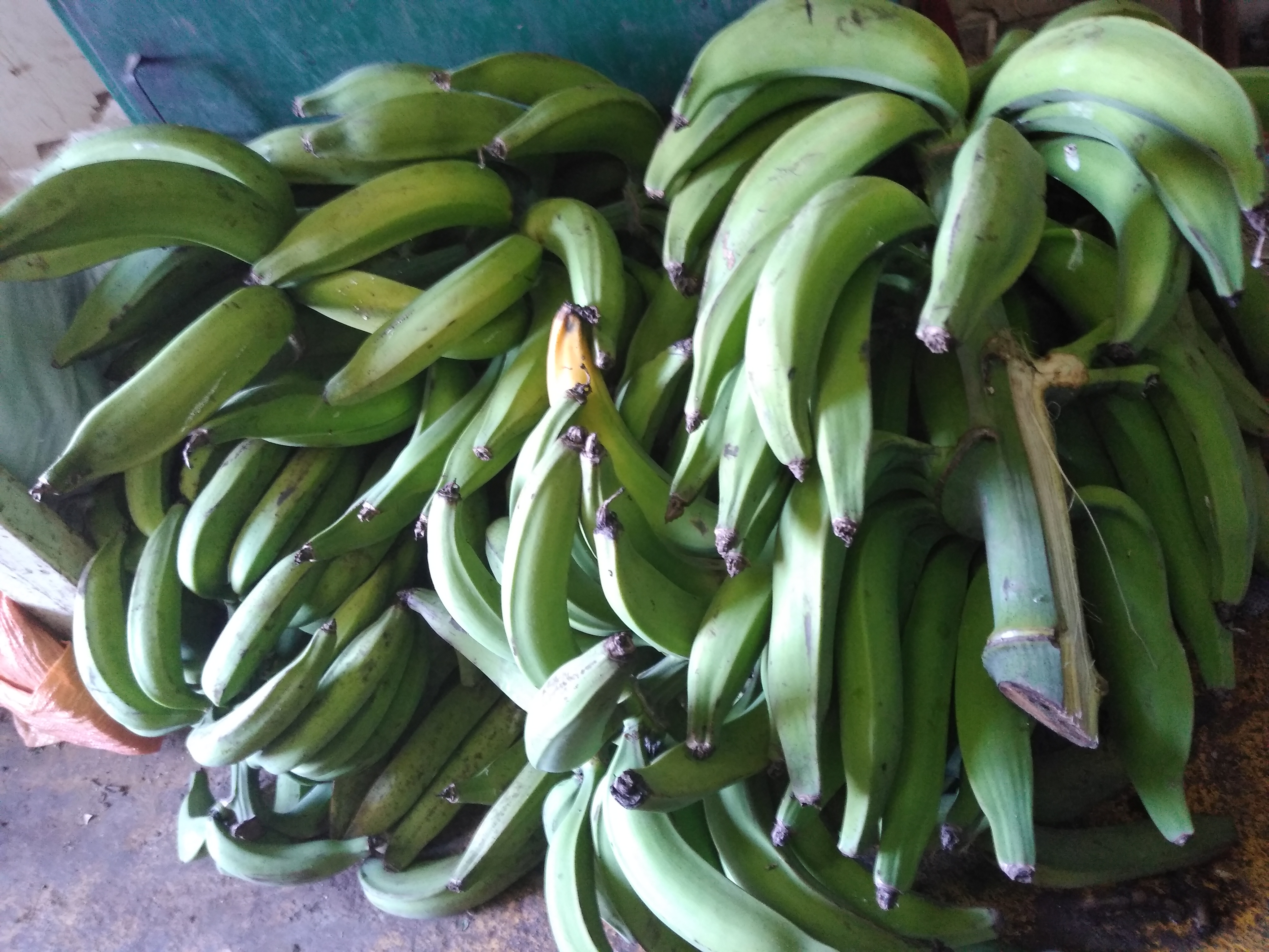 Plátano verde