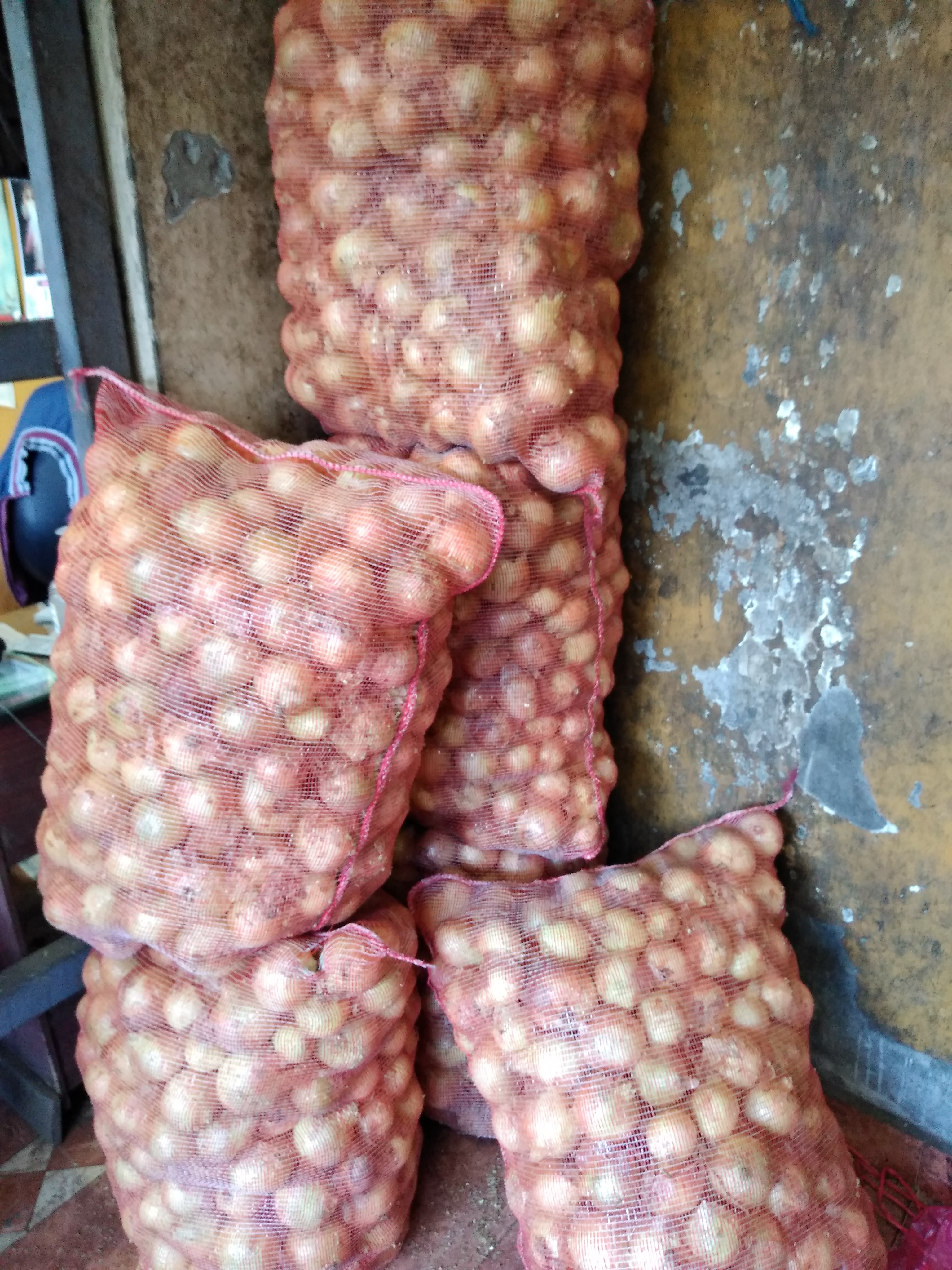 Cebolla huevo blanca
