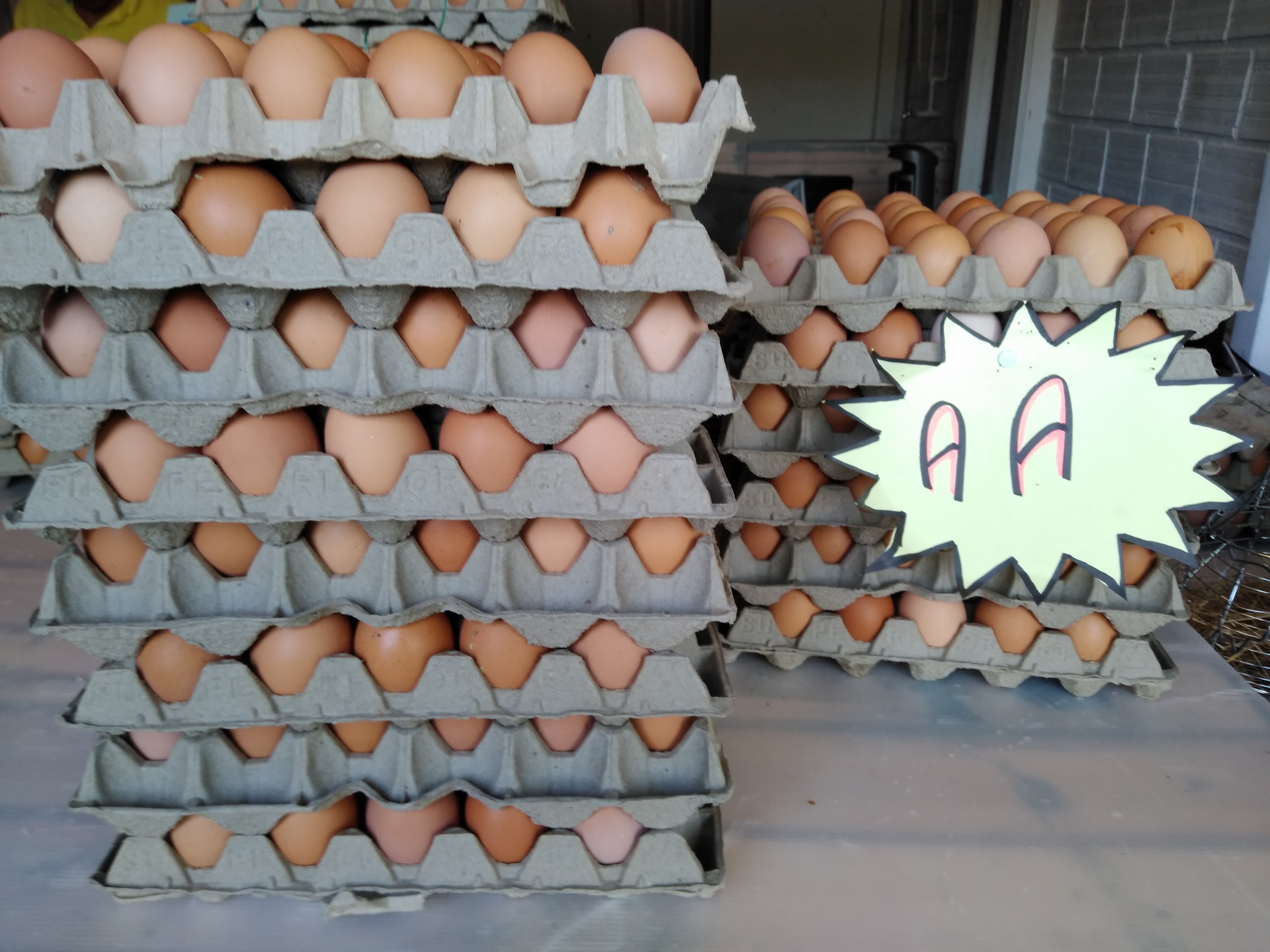 Huevos AA
